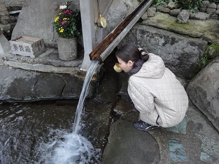 �F��n���_�L�����������@���Ƃ̂ς킷��