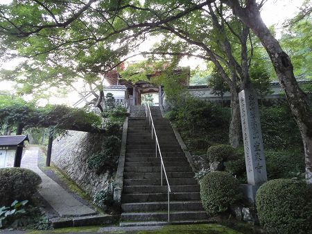 �L�掛�@���Ƃ̂ς킷��