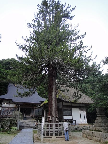 �L�掛�̑卂�얊�@���Ƃ̂ς킷��