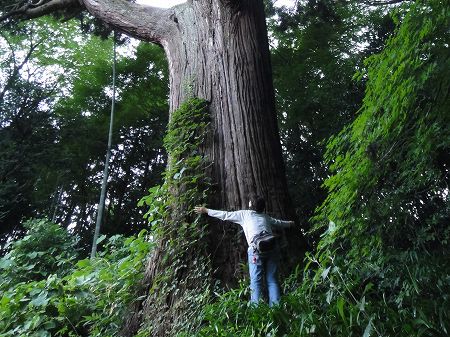 �L�掛�̑吙�̍������@���Ƃ̂ς킷��