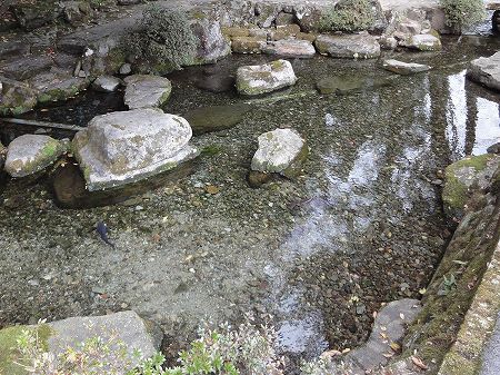 ��j���z���_�Ђ̒r�@���Ƃ̂ς킷��