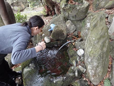 �����ȕz���̐����@���Ƃ̂ς킷��