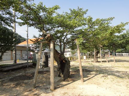 �����포�w�Z�̎O�S�N���@���Ƃ̂ς킷��