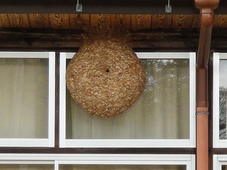 �����钬����ˏ��w�Z�̖I�̑��@���Ƃ̂ς킷��