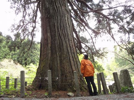 �F��_�Ђ̐�N���@���Ƃ̂ς킷��