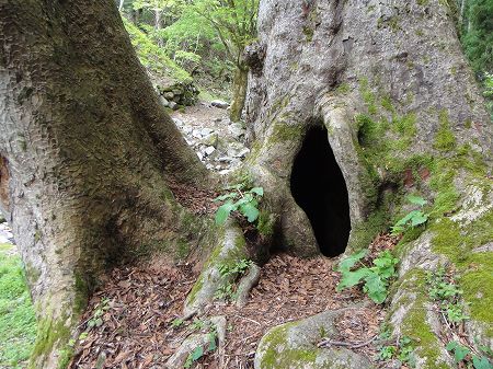 ��g�`�̍����q�̌����@���Ƃ̂ς킷��