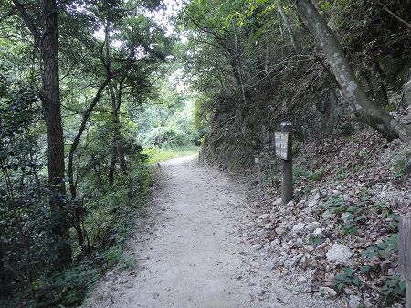 �[�R�̑�V�����@���Ƃ̂ς킷��