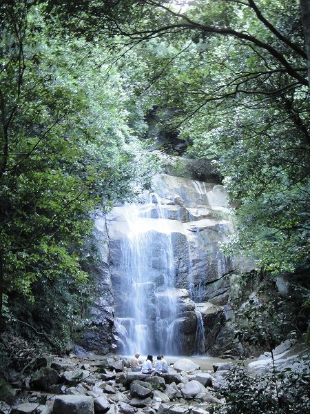 �[�R�̑ꉓ�i�@���Ƃ̂ς킷��