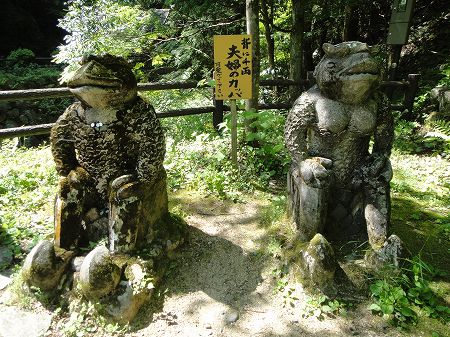 �����̑�v�w�J�b�p�@���Ƃ̂ς킷��