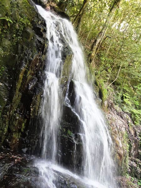 �����̑�@���Ƃ̂ς킷��