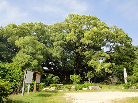 ��I�̃N�X�̐X�@���Ƃ̂ς킷��