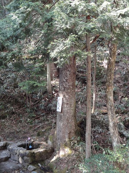 ����̐��@���Ƃ̂ς킷��