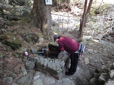 �܂�₩�ȍA�z���̉���̐��@���Ƃ̂ς킷��