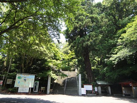 �o�������{�̓������吙