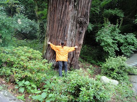 �吙�ɕ������`��