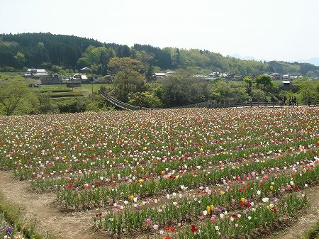 ���̉w���K�̑�`���[���b�v�t�F�X�^�@���Ƃ̂ς킷��