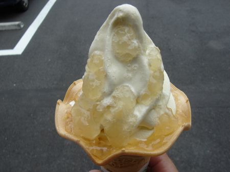 ���\�t�g�N���[���@���Ƃ̂ς킷��