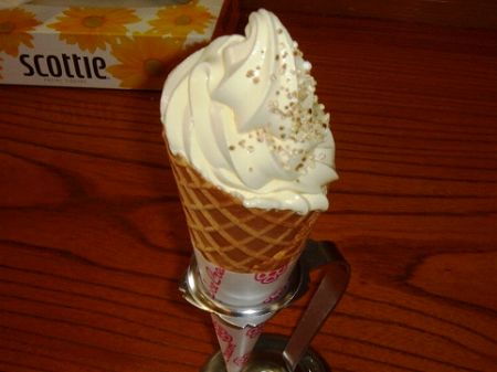 ����\�t�g�N���[���@���Ƃ̂ς킷��