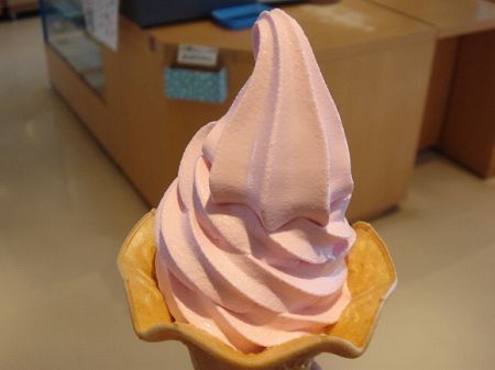 �_���A�\�t�g�N���[���@���Ƃ̂ς킷��